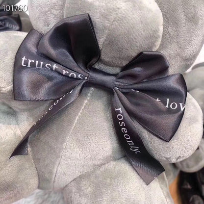 Hug Bear Teddy Bear Gift Box | Soft Plush Gift