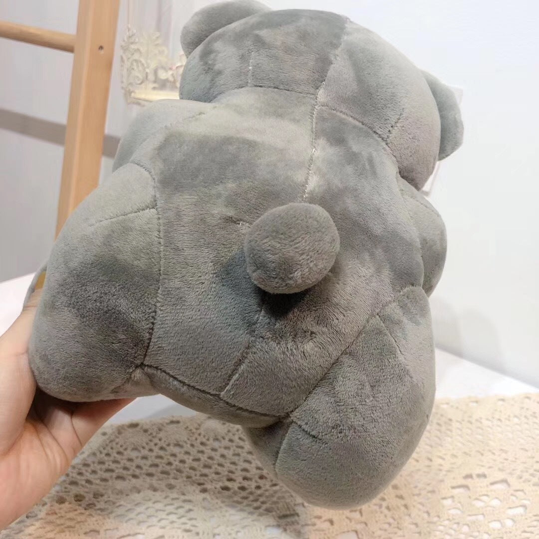 Hug Bear Teddy Bear Gift Box | Soft Plush Gift